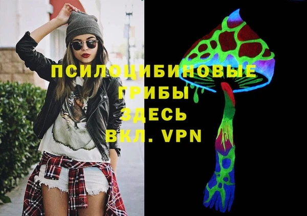 молекула духа Белокуриха