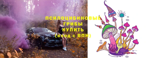 молекула духа Белокуриха