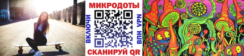 Псилоцибиновые грибы GOLDEN TEACHER  кракен маркетплейс  Ставрополь  где продают  