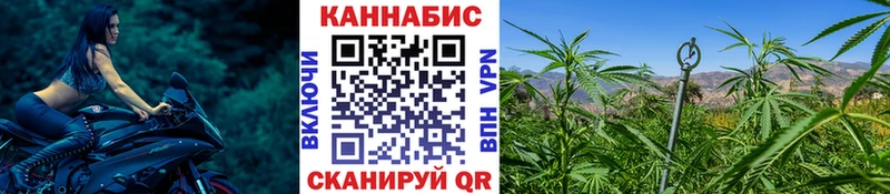 Бошки Шишки AK-47 цены Ставрополь